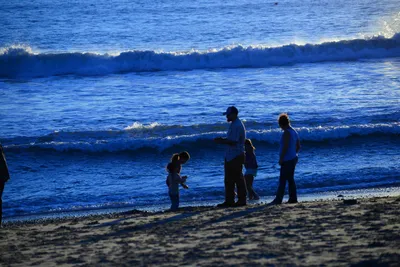 DSC_1242 (Large).JPG